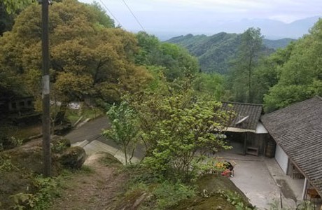 彭州三昧水穿越丹景山徒步1日游寻深山古寺穿竹林赏牡丹